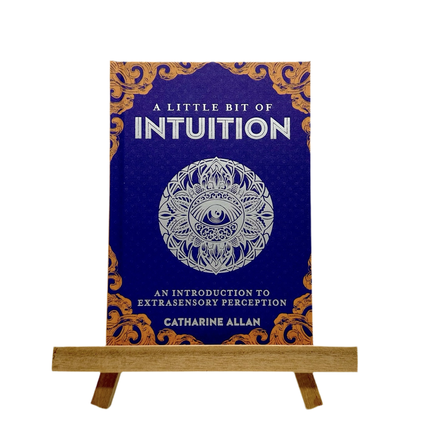 A Little Bit of Intuition by Catharine Allan